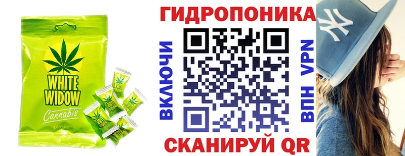 blacksprut ONION где можно купить Усть-Джегута Печенье с ТГК марихуана