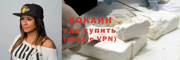 дмт Лиски