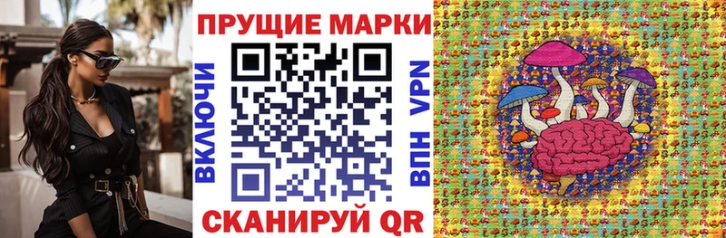 Марки NBOMe 1500мкг  даркнет сайт  Усть-Джегута 