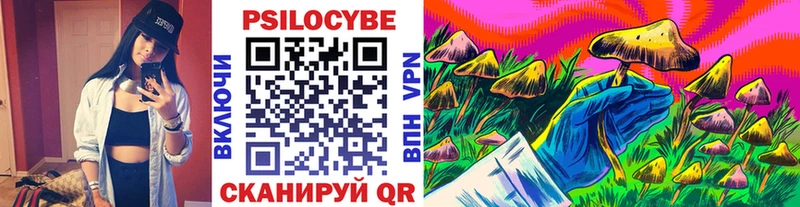 сколько стоит  Усть-Джегута  Галлюциногенные грибы мицелий 
