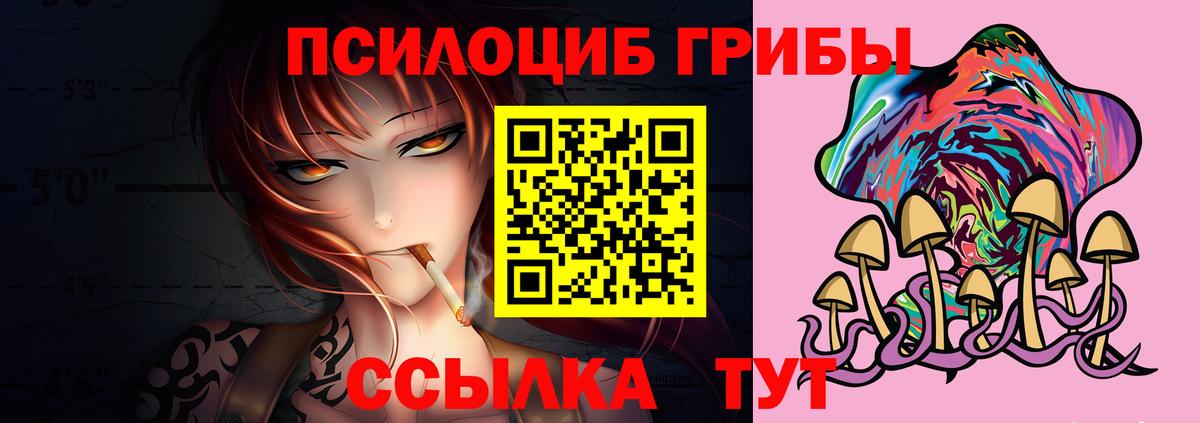 Галлюциногенные грибы прущие грибы Усть-Джегута